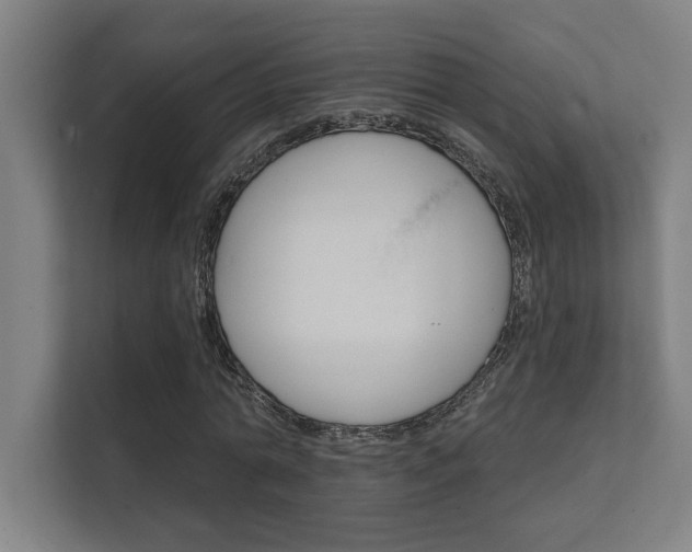 X0000112360774200908131233
