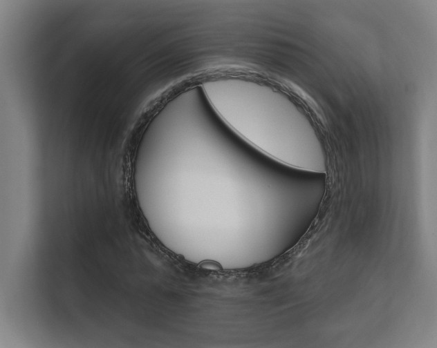 X0000112360775200908131233