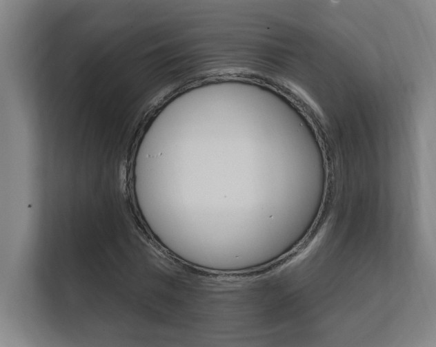 X0000112360777200908131233