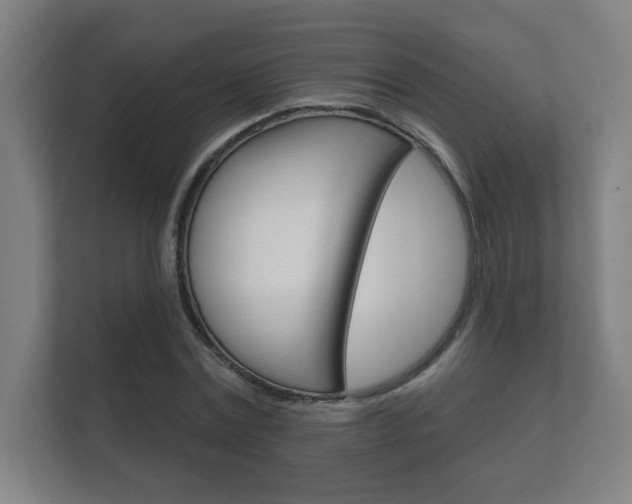 X0000112360779200908131233