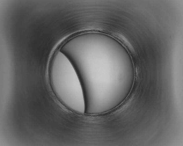 X0000112360780200908131233