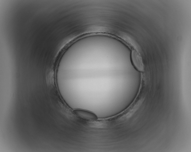 X0000112360781200908131233
