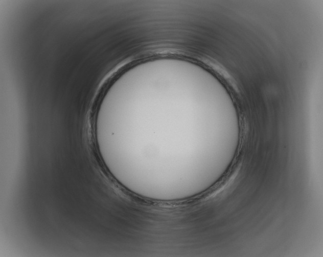 X0000112360782200908131233