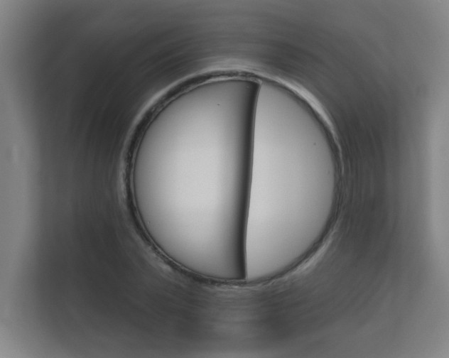 X0000112360783200908131233