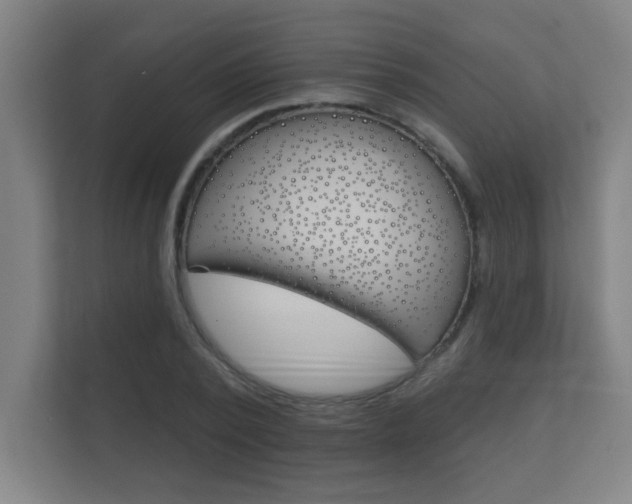 X0000112360784200908131233