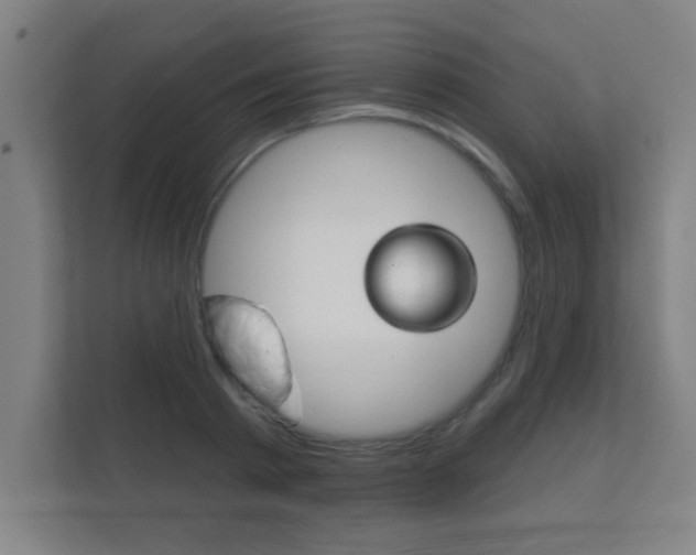 X0000112360793200908131233