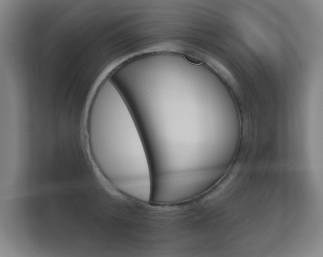 X0000112360800200908131233