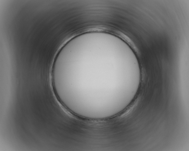 X0000112360802200908131233