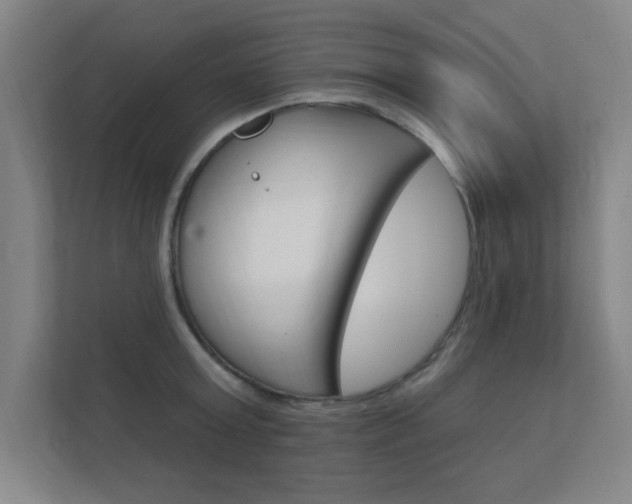 X0000112360803200908131233