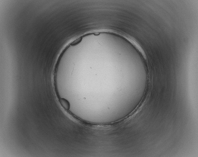 X0000112360805200908131233