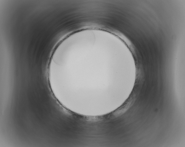 X0000112360807200908131233