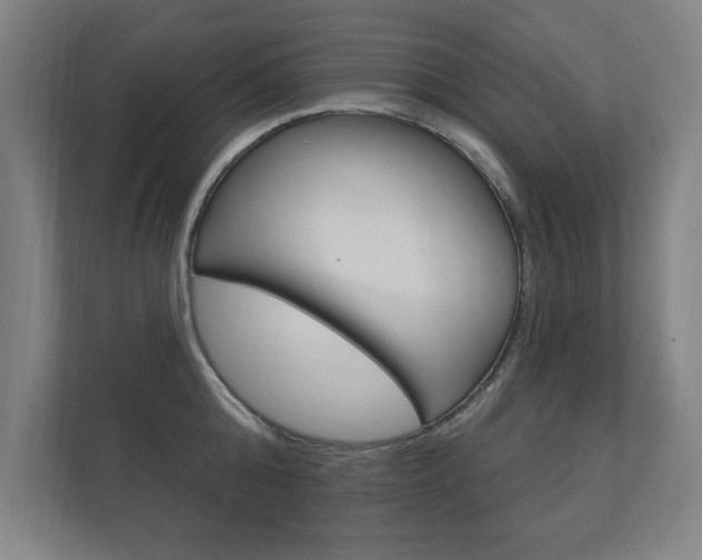 X0000112360808200908131233