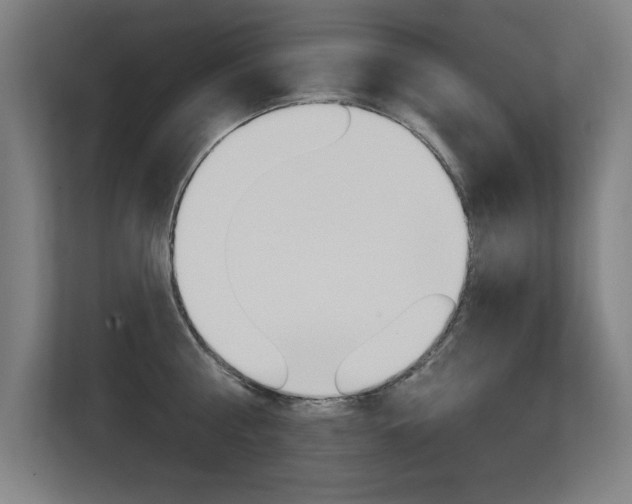 X0000112360810200908131233