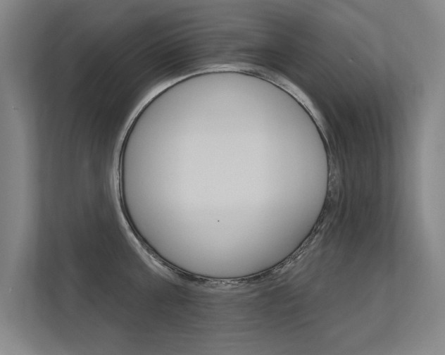 X0000112360811200908131233