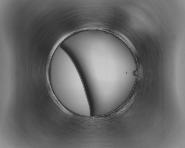 X0000112360812200908131233
