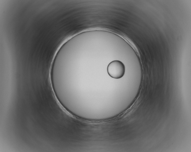 X0000112360813200908131233