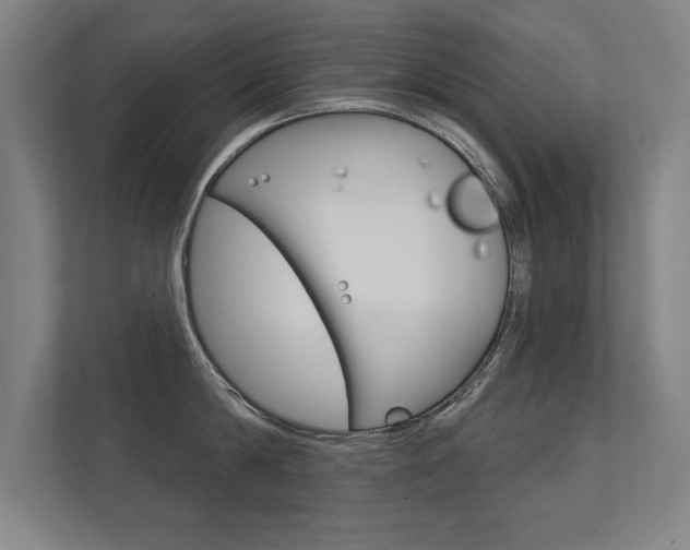 X0000112360814200908131233