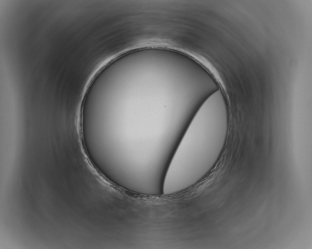 X0000112360815200908131233