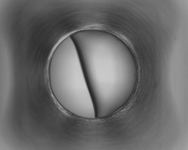 X0000112360816200908131233