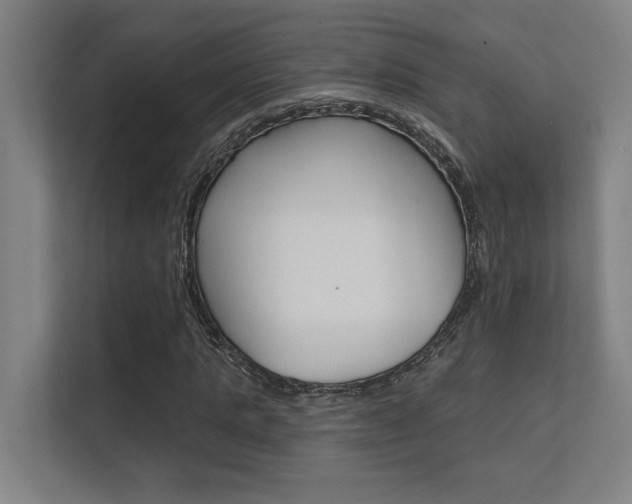 X0000112360821200908131232