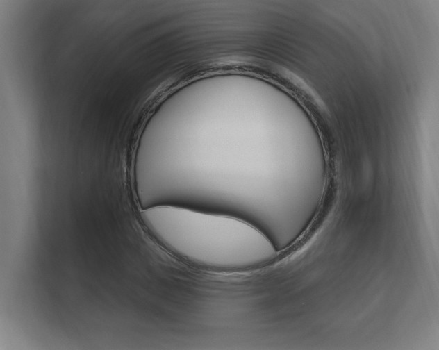 X0000112360825200908131232