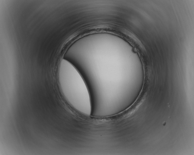 X0000112360826200908131232
