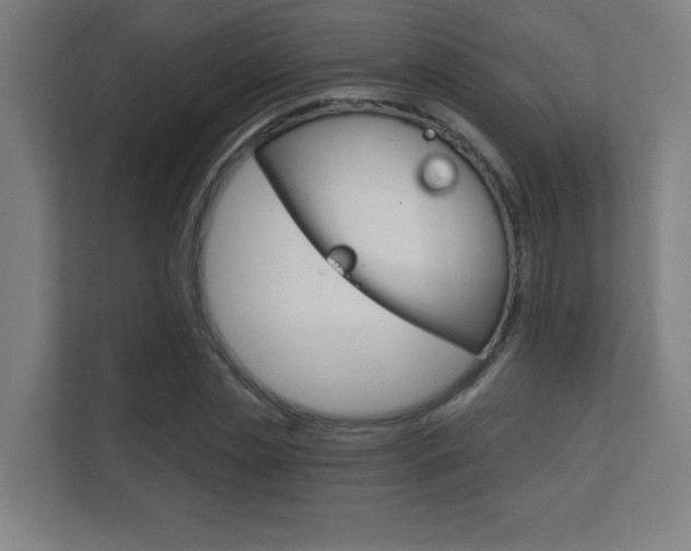 X0000112360829200908131232