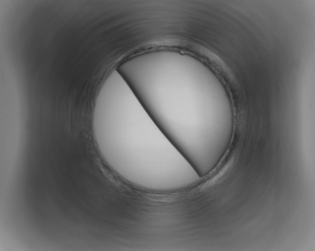 X0000112360833200908131233