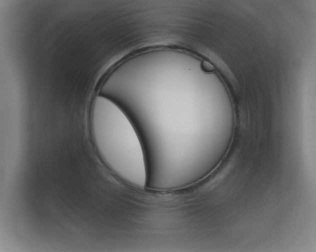 X0000112360834200908131233
