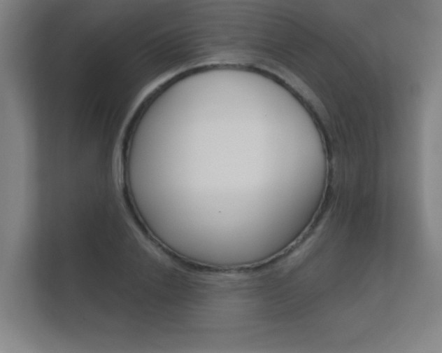 X0000112360838200908131233