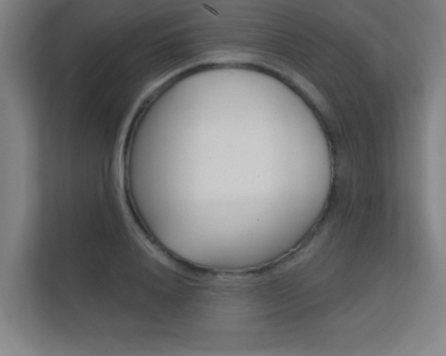 X0000112360840200908131233