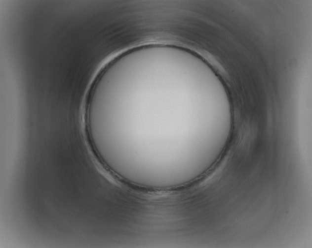 X0000112360846200908131233