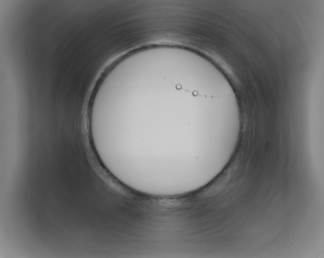 X0000112360848200908131233