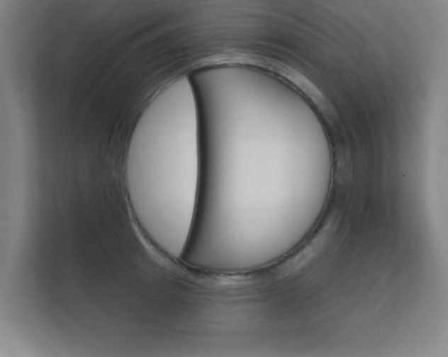 X0000112360849200908131233