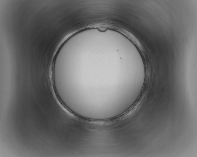 X0000112360855200908131233