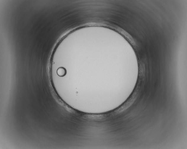 X0000112360856200908131233