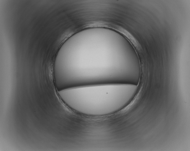 X0000112360857200908131233