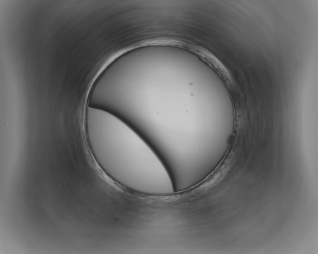 X0000112360860200908131233