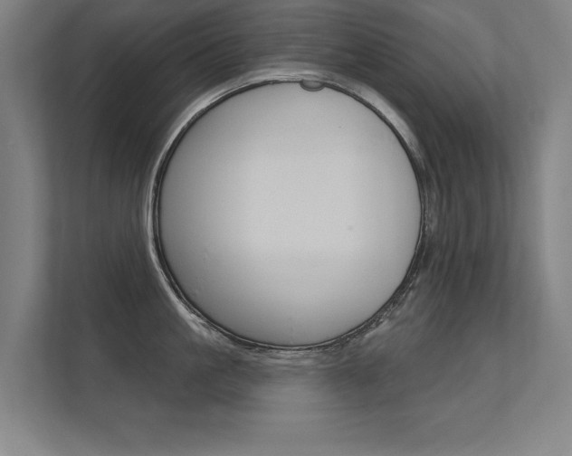 X0000112360861200908131233