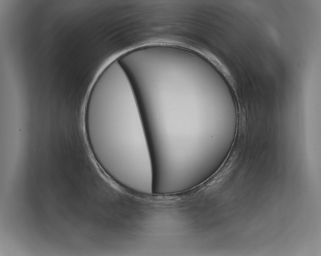 X0000112360862200908131233