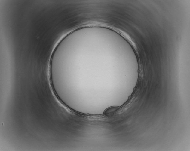 X0000112360863200908131233