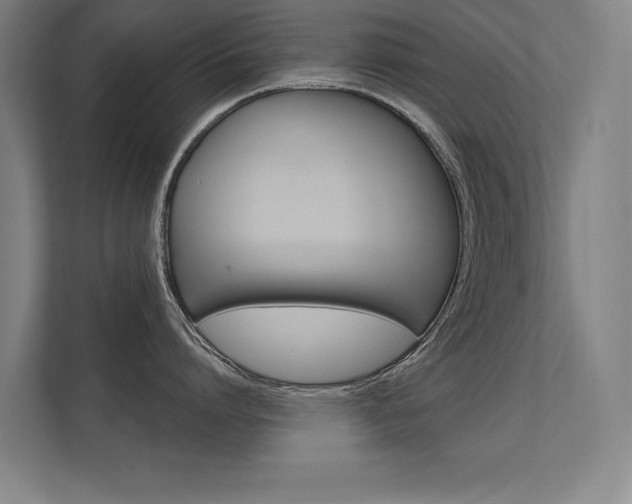 X0000112360864200908131233