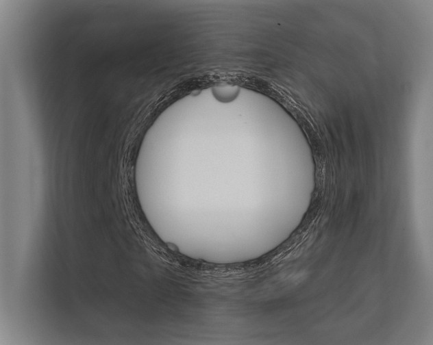 X0000112360865200908131232
