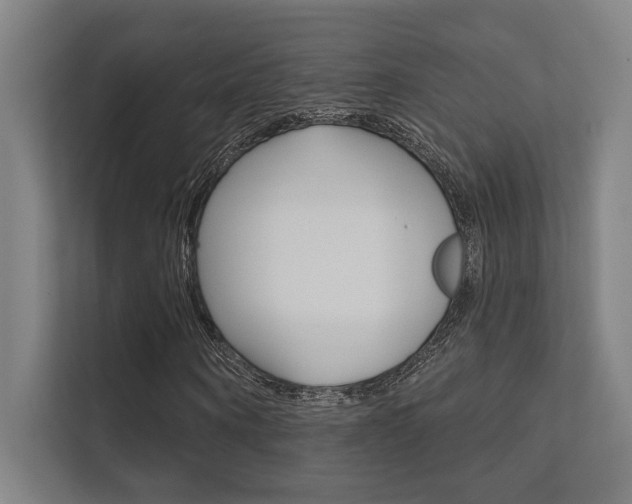 X0000112360866200908131232