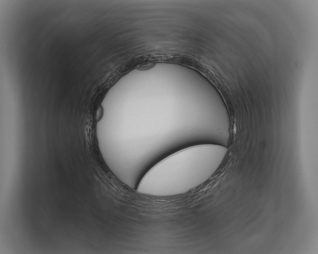 X0000112360867200908131232