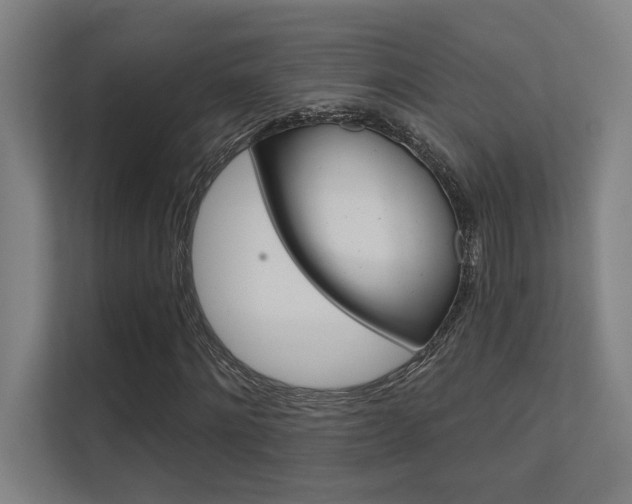 X0000112360868200908131232