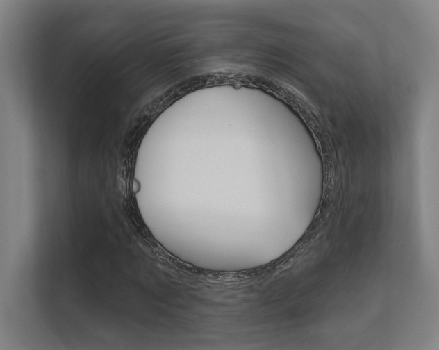 X0000112360869200908131232