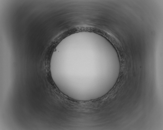 X0000112360870200908131232