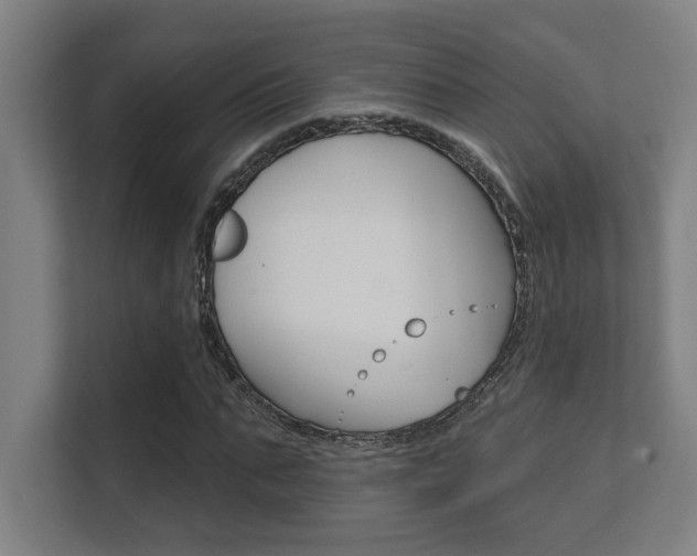 X0000112360871200908131232