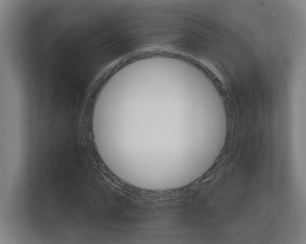 X0000112360872200908131232